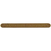 1 1/2" Foreign Service Clasp