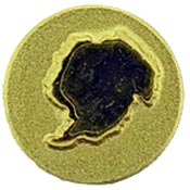 Gold Antartica Service