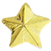 Gold 2 Star