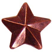 Bronze Battle Star