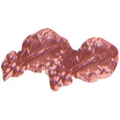 Bronze 2 Leaves