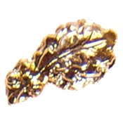 Gold Oak Leaf