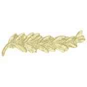 Gold Palm