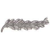 Silver Palm