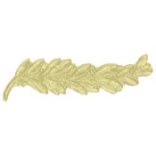 Gold Palm