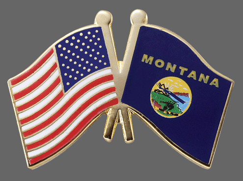 Montana Friendship Pins