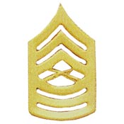 Master SGT E8 (gold)
