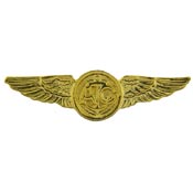 Air Crew Wings gold 1 1/2"
