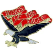 101st A/B AVN Battalion Wings of the Eagle
