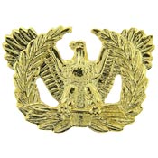 Warrant Officer