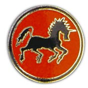 4th Recon Bn 4th Marines