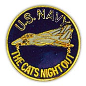 Cat's Night Out