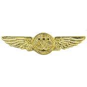 Air Crew Wings 1 1/8"