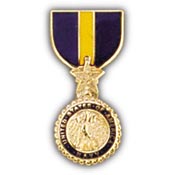 Navy DSM