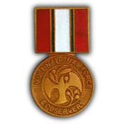Multinational Force