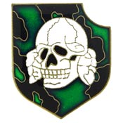 Camo Skull Military Pin