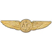 USN Aircrew (gold) 2 3/4"