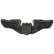Basic Pilot 2"