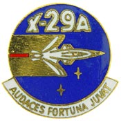 X 29A