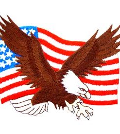 USA Eagle