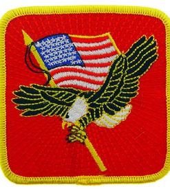 Eagle and Flag