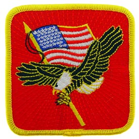 Eagle and Flag