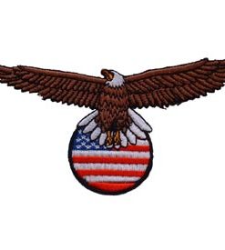 Eagle and Flag