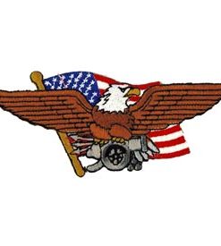 Eagle W/ Cannon