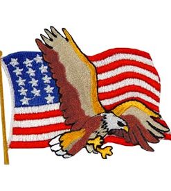 Eagle W/ Flag