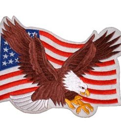 USA Flag and Eagle. 9 1/4" wide