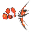 Clown Fish