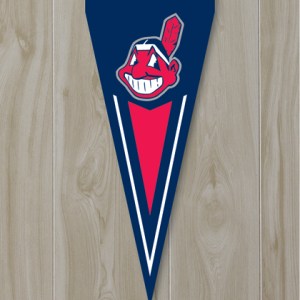 34x14-indians-yard-pennatindoors/
