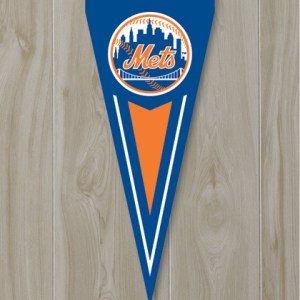 34x14-mets-yard-pennatindoors/