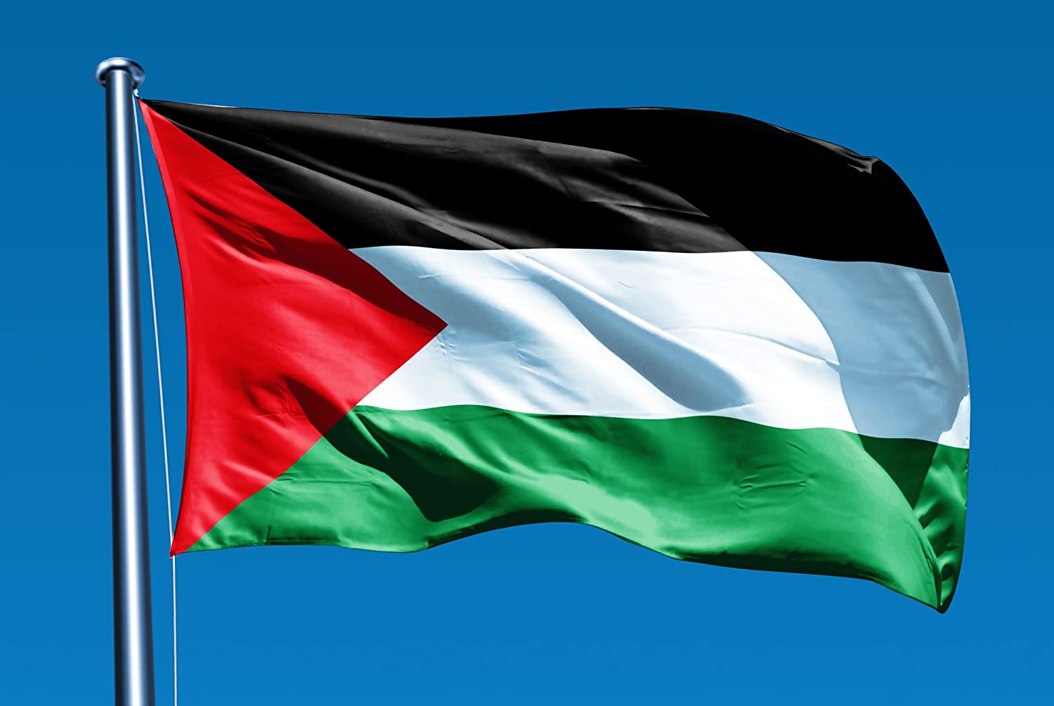 Palestine 2'x3' Poly Flag - Image 2