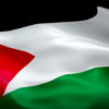 Palestine 2'x3' Poly Flag
