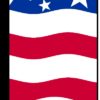 38'' x 138'' Pat Eagle Horiz Swooper Flag