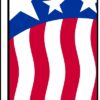 38'' x 138'' Pat Eagle Vert Swooper Flag