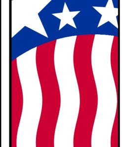 38'' x 138'' Pat Eagle Vert Swooper Flag
