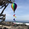 12 Panel Rainbow Hot Air Balloon