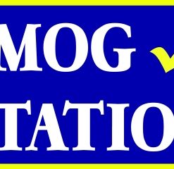 3' x 10' Smog Station Gold Shield Banner