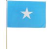 Somalia 12"x18" Stick Flag