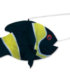 Swimming Fish - Damsel Fish, Damsel Fish - Swimming Fish