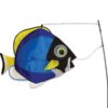 Swimming Fish Powder Surgeon