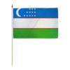 Uzbekistan 12x18in Stick Flag
