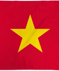 Vietnam Poly 2'x3' Flag