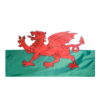 The Flag of Wales 3ft x 5ft Polyester Flag, Wales 3ft x 5ft Poly Flag