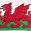 Wales Flag 2x3ft Poly