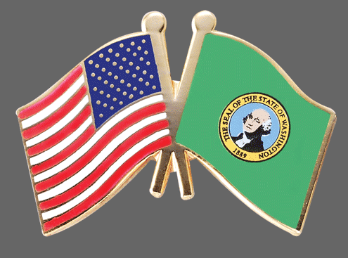 Washington Friendship Pins