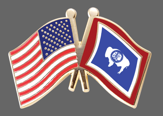 Wyoming Friendship Pins