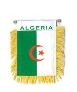 Algeria Mini Banner